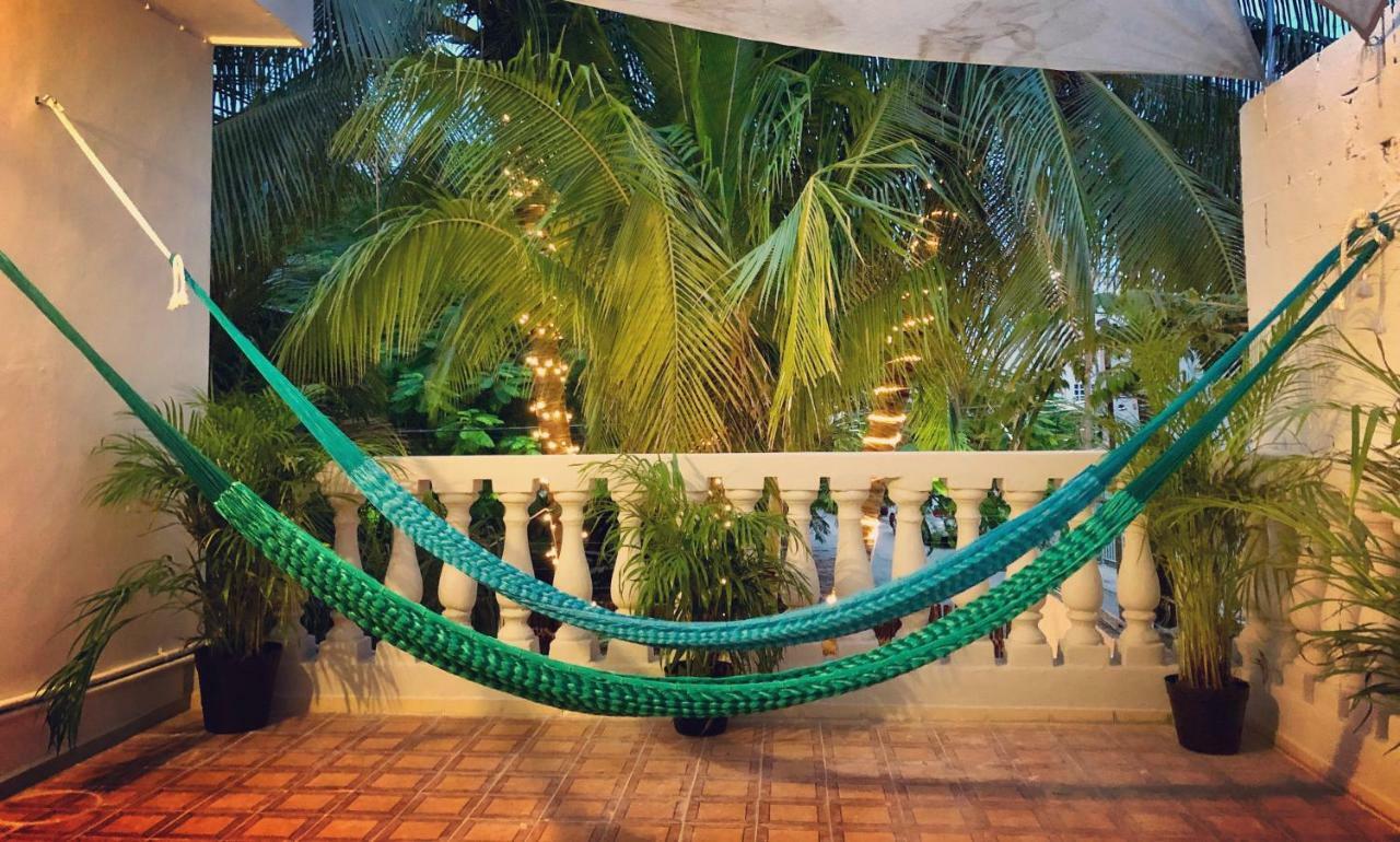 Casa Tropical 호텔 칸쿤 외부 사진