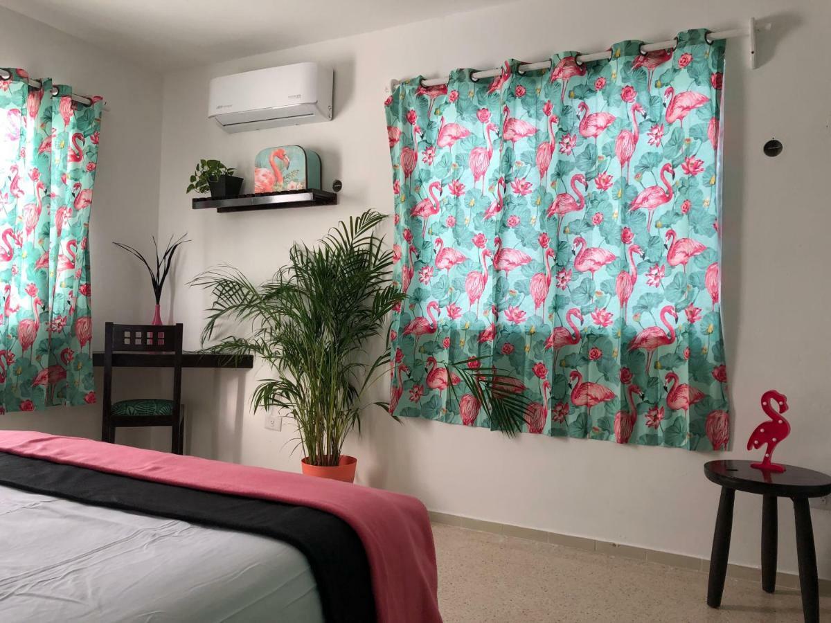 Casa Tropical 호텔 칸쿤 외부 사진
