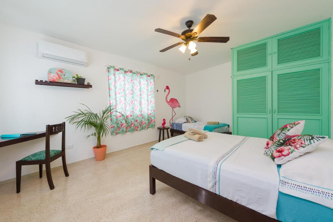 Casa Tropical 호텔 칸쿤 외부 사진