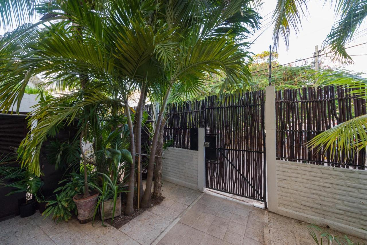 Casa Tropical 호텔 칸쿤 외부 사진