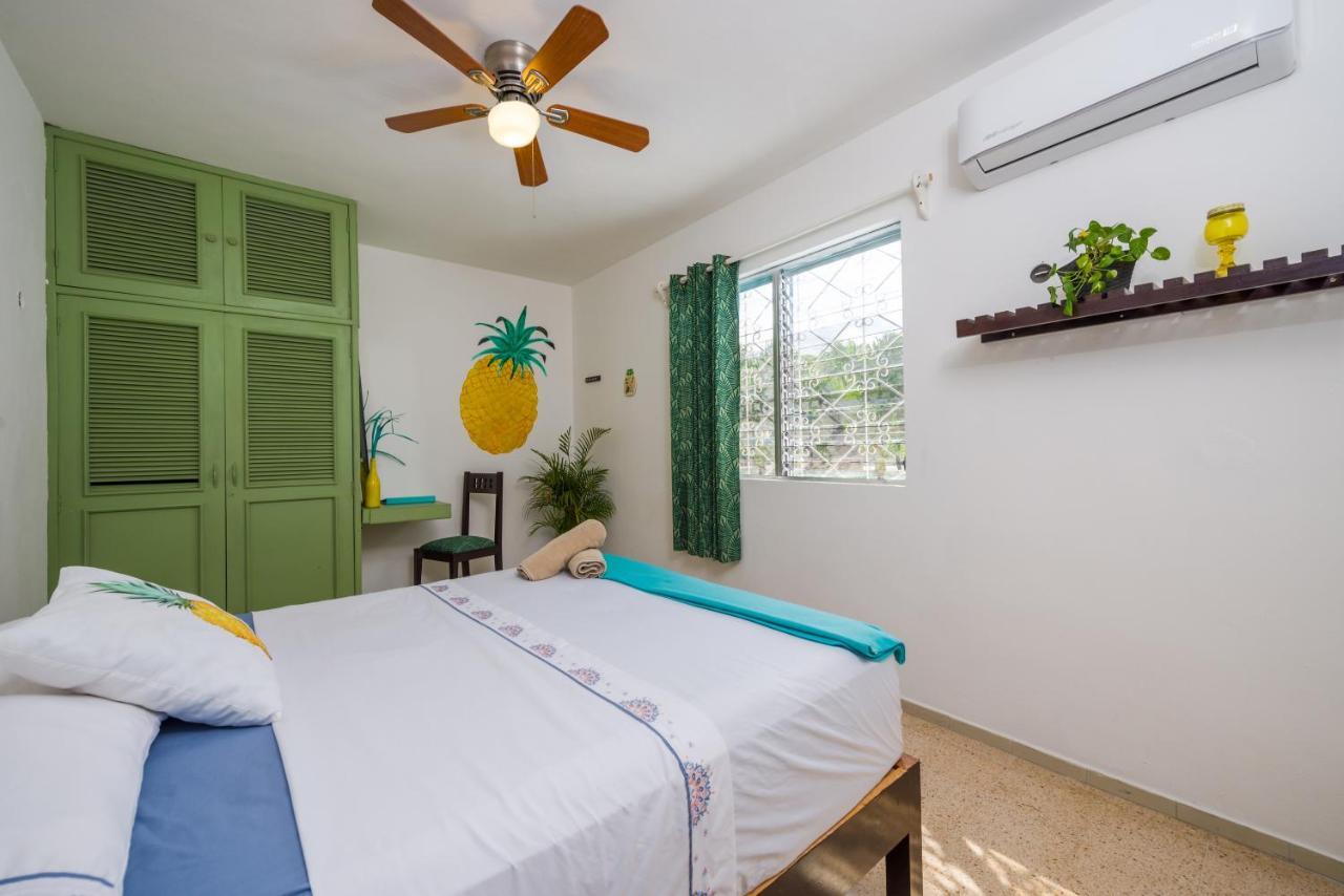 Casa Tropical 호텔 칸쿤 외부 사진