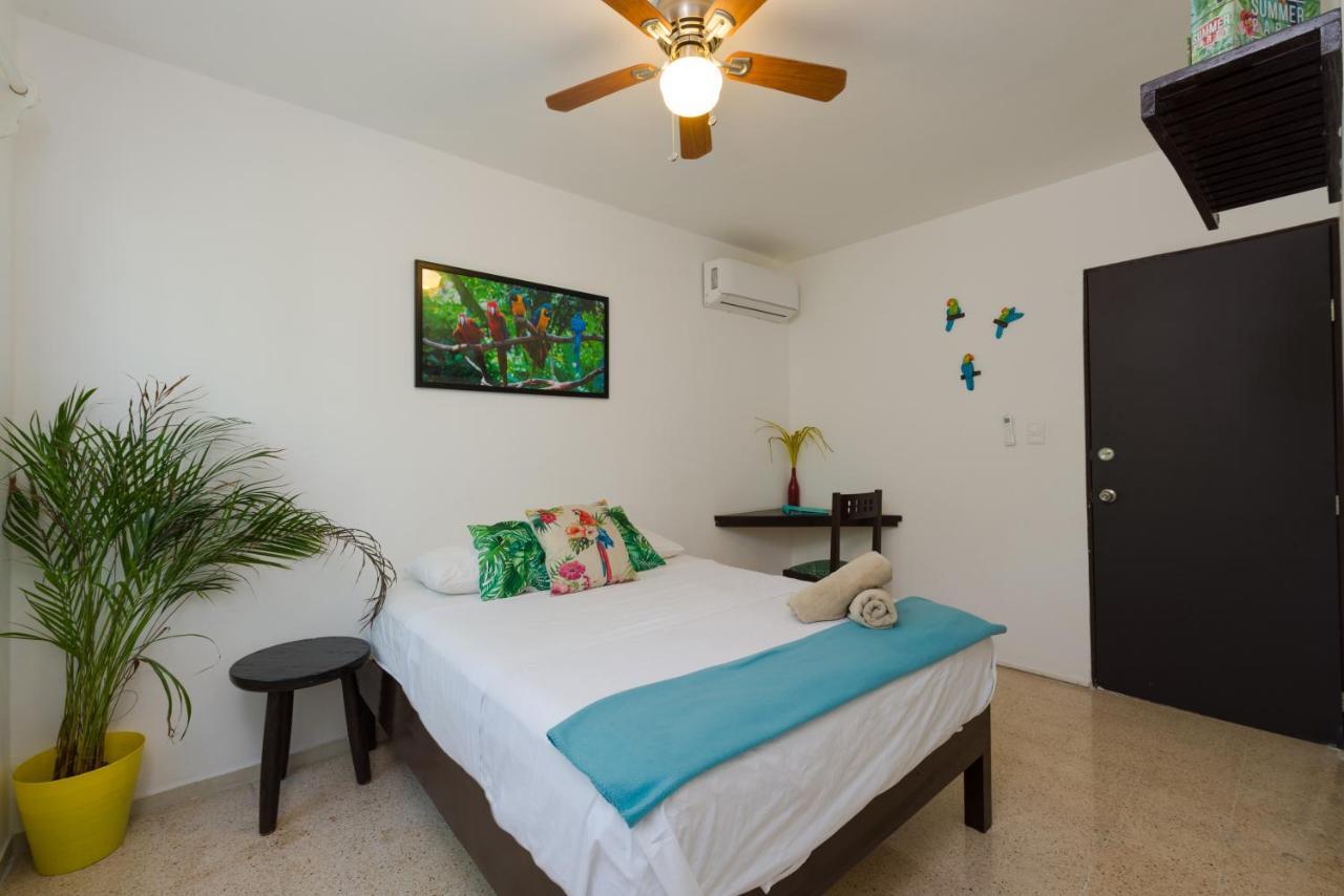 Casa Tropical 호텔 칸쿤 외부 사진
