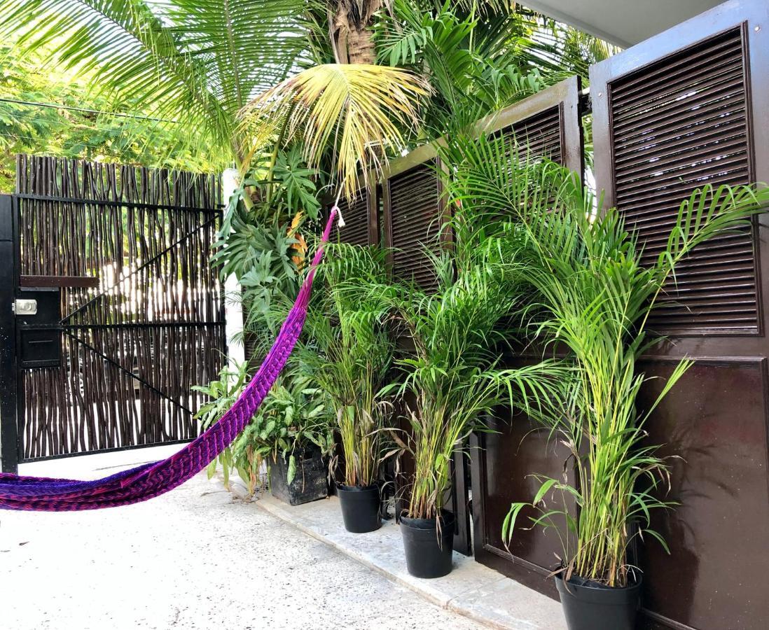 Casa Tropical 호텔 칸쿤 외부 사진