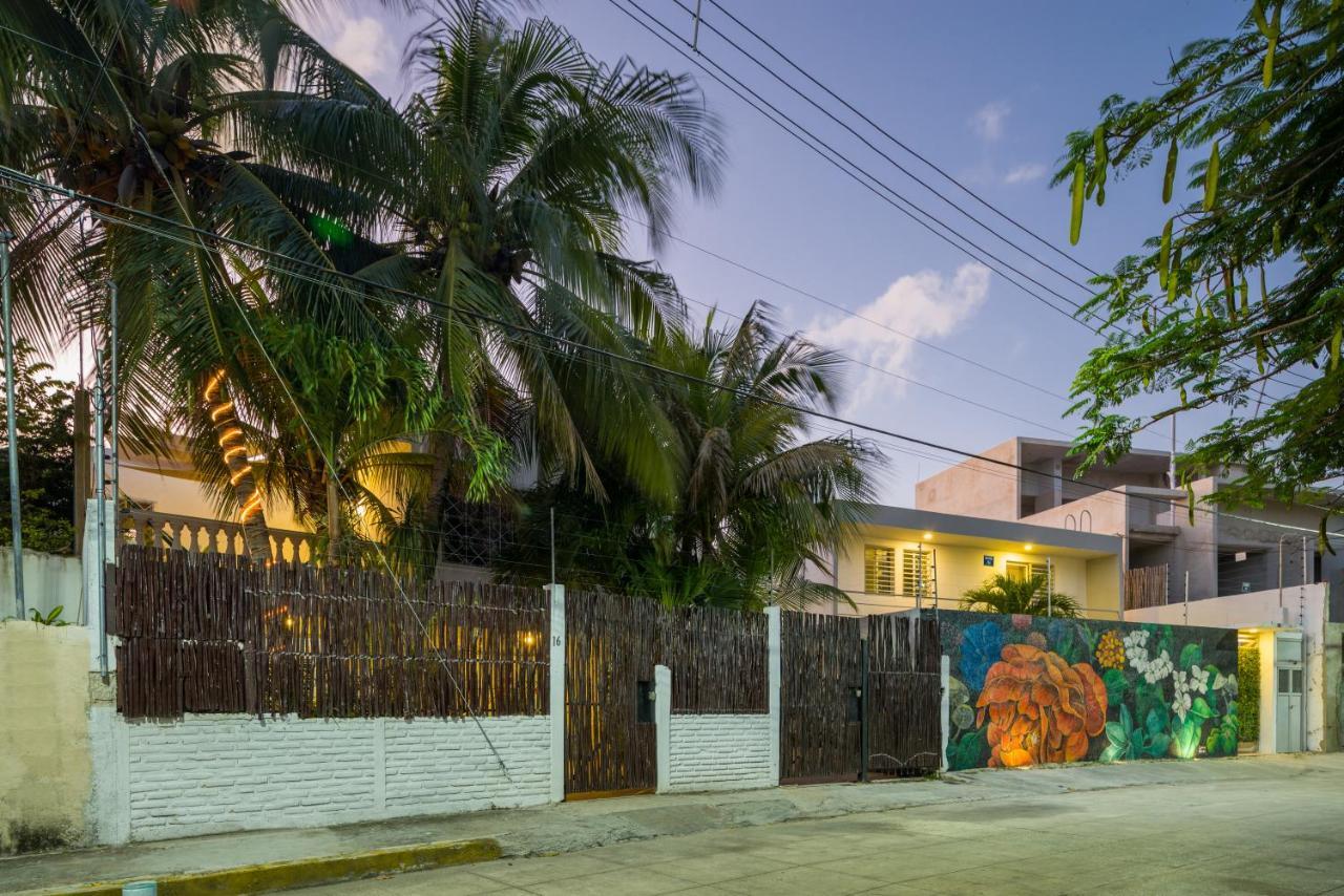 Casa Tropical 호텔 칸쿤 외부 사진